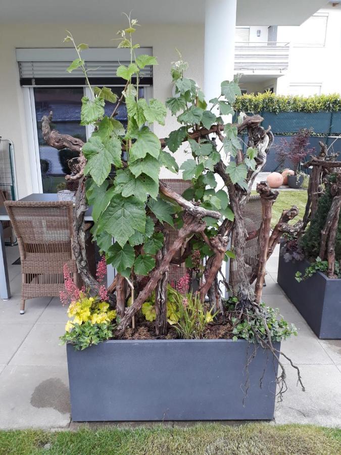 "Nature Erleben" Appartement & Komfortzimmer Velden am Worthersee Bagian luar foto