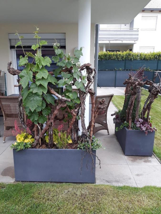 "Nature Erleben" Appartement & Komfortzimmer Velden am Worthersee Bagian luar foto